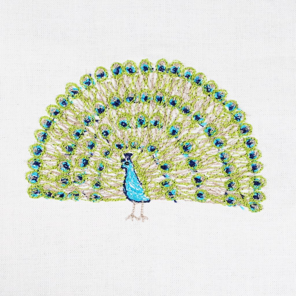 Hundred Day Project - Day 92 Peacock